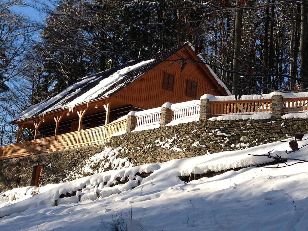 Chata Hokejka Rokytnice nad Jizerou Exterior photo