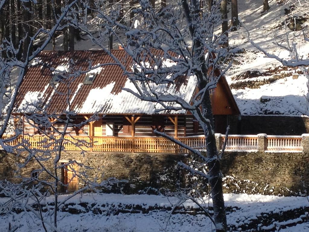 Chata Hokejka Rokytnice nad Jizerou Exterior photo