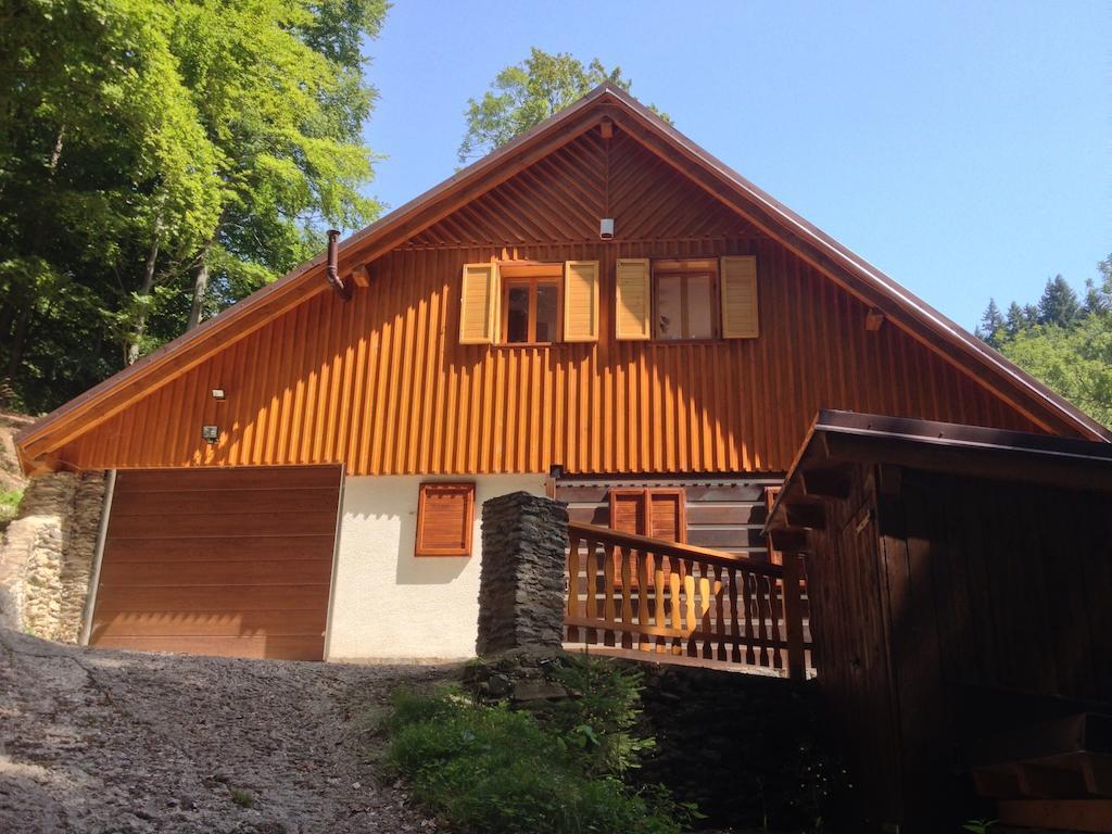 Chata Hokejka Rokytnice nad Jizerou Exterior photo